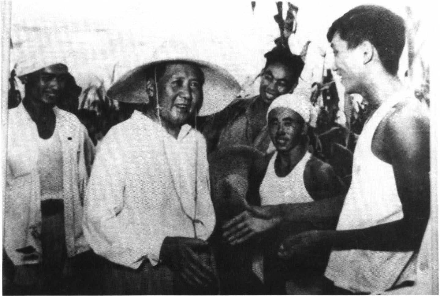 在玉米地与农民张同顺握手